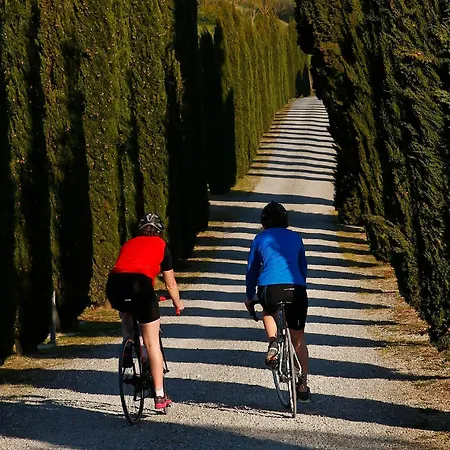 Poggio Al Casone