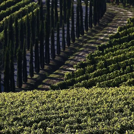 Alojamento de Turismo Rural Poggio Al Casone Crespina
