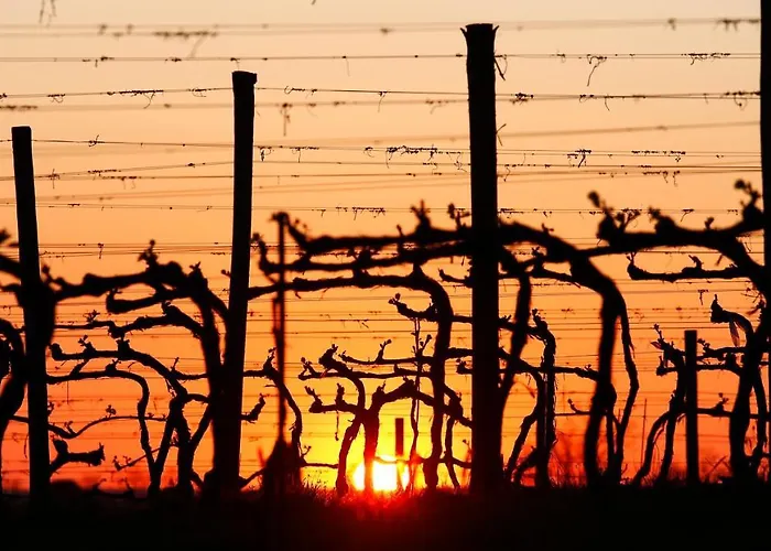 Poggio Al Casone Κατάλυμα σε φάρμα *